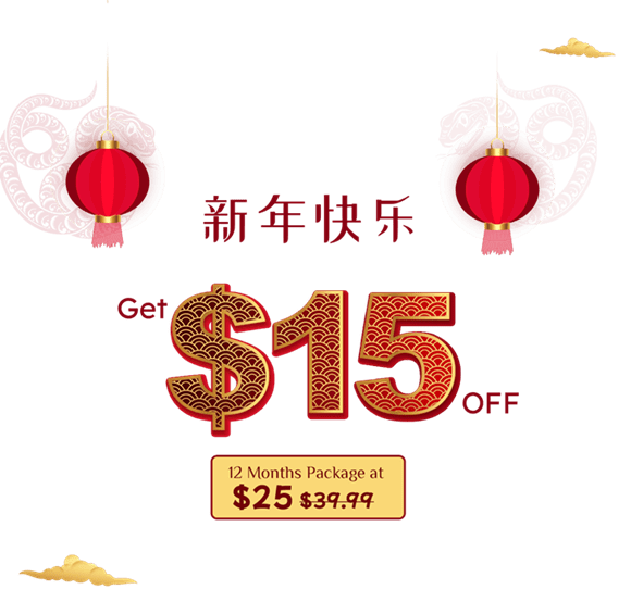 New Year VPN Offer
