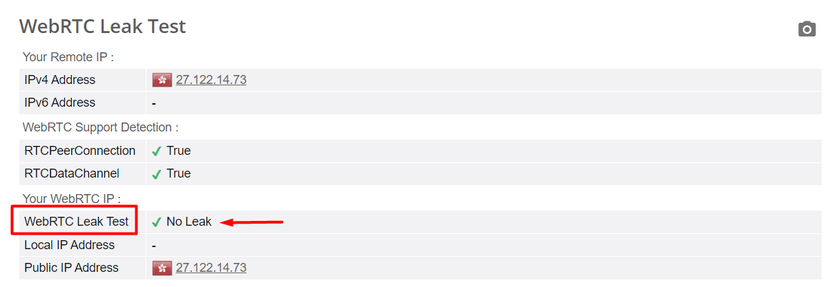 WebRTC Leak Test