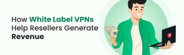 Ultimate Guide White Label VPN Reseller: Revenue Generation